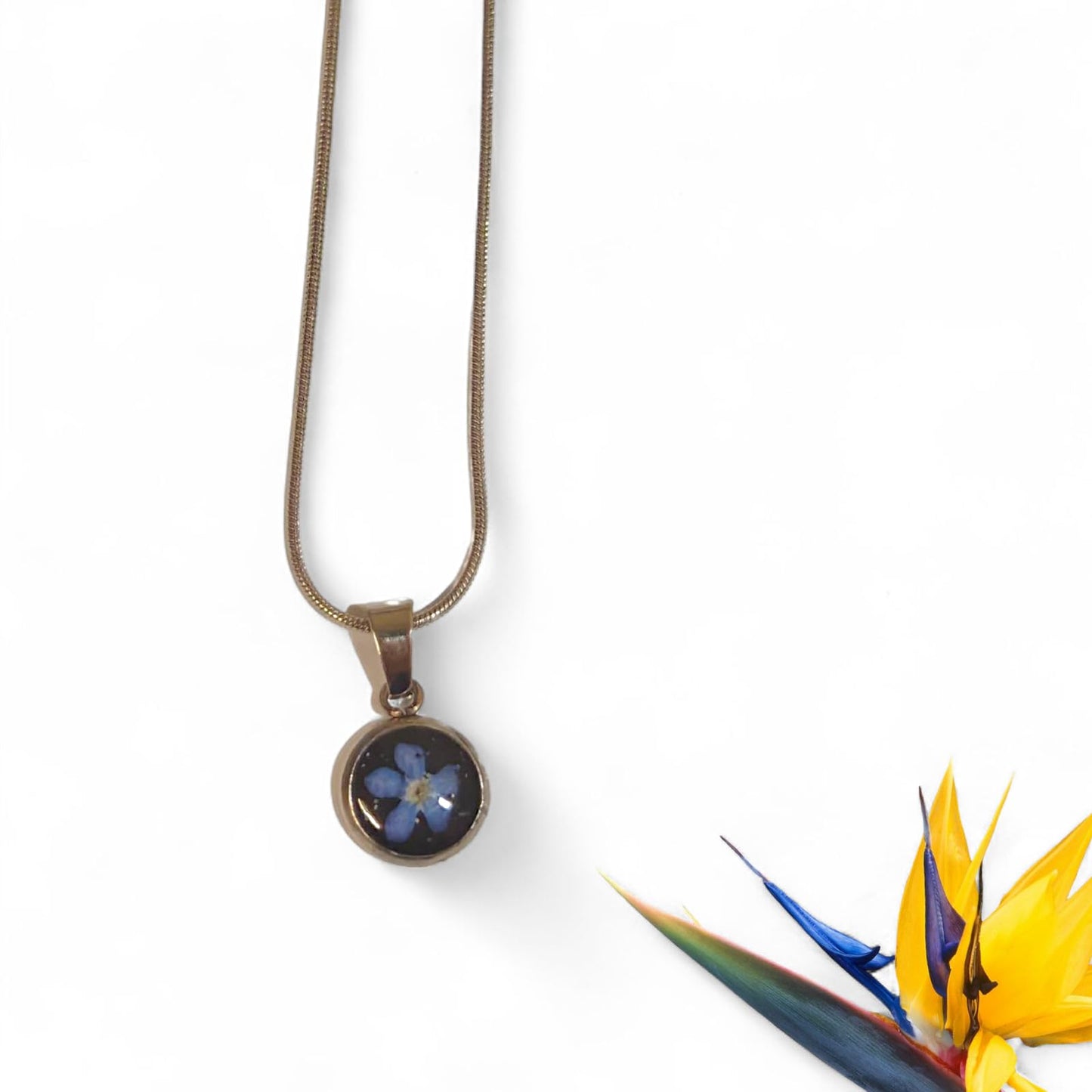 Stainless Steel Necklace – Real Flower Pendant (Blue, Purple Heart, Forget-Me-Not)